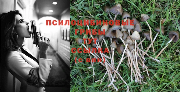 гашиш Михайлов